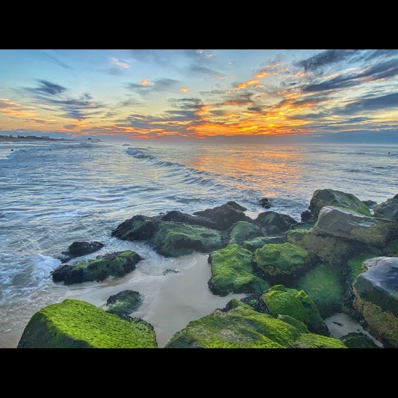 Meet your Posher, Kim - Picture 5 of 7